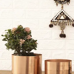 HomeShastra Rose Gold Toned 2 Pieces Metal Planters-55