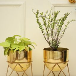 HomeShastra Gold Toned 2 Pieces Metal Planters with Stand-44