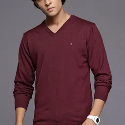 Louis Philippe Long Sleeves V-Neck Sweater-picture-45