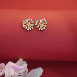 Niscka Cubic Zirconia Gold Plated Studs Earrings-21