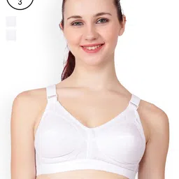 Floret White Solid Pack Of 3 Non-Wired Everyday Bra Sherry_White-White-White_40B-36