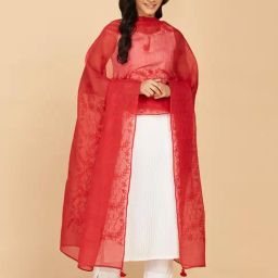 Fabindia Red Embroidered Dupatta-image-88
