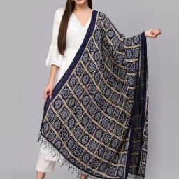 Stylum Navy Printed Dupatta-picture-5