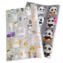 eVincE - thoughtful PRESENTations CATY02PAND02_5X2  Cute Panda & Caty For Kids Birthday Diwali Xmas Gifting & More (2 Design 5 Sheets each) Big Wraps Assorted Tags along 70 x 50 cm Gift Wrapping Paper (Pack of 10 Piece)-image-93