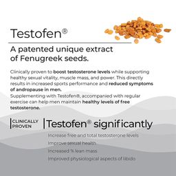 Wellbeing Nutrition Melts Testo Power | Clinically Proven Testofen, Fenugreek Seeds, Himalayan Shilajit, Saffron | Testosterone Boost, Performance, Stamina & Energy, 30 Oral Strips image 4