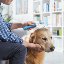 Amazon Basics Self Cleaning Slicker Pet Grooming Brush | Pet Cleaning Tool Suitable for All Pets | Rectangular Shape image 5