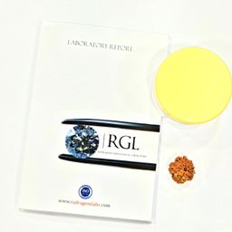 SHIVARATNA 1 Mukhi Rudraksha Nepal Origin (Round Shape) Comes with ISO Marked Lab Certificate image 3