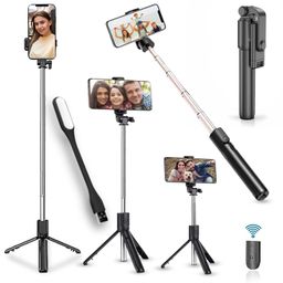 blushinsta Portable Selfie Stick, 70 cm Handheld Tripod with Detachable Wireless Remote and Mini Tripod Stand Selfie Stick for iPhone, Android + USB LED Light LAMP image 1