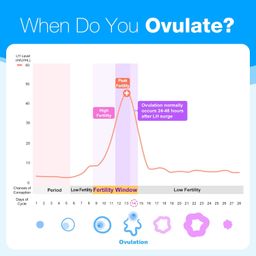 Easy@Home Ovulation Test Strips For Women, 10 Pack Fertility Tests, Ovulation Predictor Kit, Powered by Premom Ovulation Predictor iOS and Android App image 5