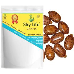 sky life Sky Life® Castor Seed - 100 Grm Arand Seed - Arandi kee Beej - Atandi Beej - Erand Beej - अरंडी बीज image 1