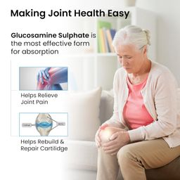 Healthvit Jointneed-750 : Glucosamine Sulphate 750mg | Osteoarthritis | Joint Support | Mobility and Flexibility | Muscles | Ligaments Damage -60 Tablets image 2