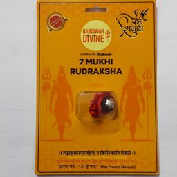 7 Mukhi Rudraksha Original Certification Blessings of Goddess Mahalakshmi for Wealth, Abundance| Goddess Lakshmi’s 7 Mukhi Rudraksha Card image 2