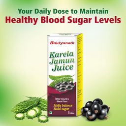 baidyanath ayurved Baidyanath Karela Jamun Juice 1L | Natural Remedy For Blood Sugar Management | Helps in Reducing the Bad Cholesterol Levels & Improves overall Health and Wellness image 3