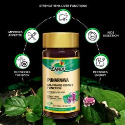 Zandu Punarnava Capsules, With Goodness of Natural Punarnava Extract known for Good Gut Health & for Healthy Appetite, Helps for Heart and Urinary Health - 60 Veg capsules image 3