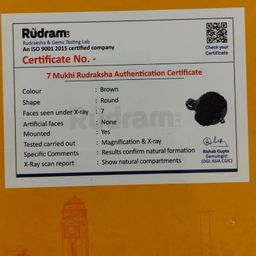 7 Mukhi Rudraksha Original Certification Blessings of Goddess Mahalakshmi for Wealth, Abundance| Goddess Lakshmi’s 7 Mukhi Rudraksha Card image 4