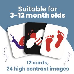 The Curious Bees - Visual Stimulation New Born Anti-Glare Cards | 24 Objects for Visual Colour Stimulation, Cognitive & Sensory Development of 6-12 Month Old Kids image 5