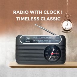 PAGARIA Portable FM/AM/SW Radio with Clock, Bluetooth, USB/TF Card, Type C Charging, Earphone Port, Torch, 4 Watts Speaker, Model: PG-621 image 2