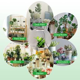 GIGAWATTS Ring Plant Light with Full Spectrum 100-240V~50/60Hz AC Input 10 Levels Dimmable & 3 Modes 120° Lightning Angle USB Powered IP44 Indoor Lamp for Home Garden Balcony (Pack of 1, RGB) image 5