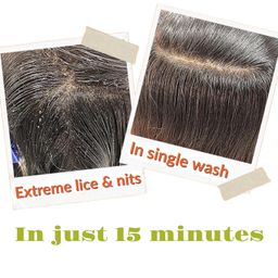 botanical luxuriate Tea Tree 100% Natural Anti Lice and Nits Shampoo 100ml Free Quality Transparent Lice Removal Comb With Tea Tree and Neem Extracts image 5