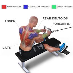 FITRXX Pro-Grip Seated Rowing | Chinning Bar | Solid Steel Handle | V Bar | Pro Grip D Handle | Tricep Curl Bar | LAT Bar | Rowing Bar Handle. image 4