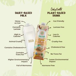 Only Earth Oats Beverage| Unsweetened Drink | Lactose Free | Preservatives Free | Plant Based | Dairy Alternative | Source of Calcium | Source of Vitamin B1, B2 & B12 1 Litre (Pack of 2) image 3
