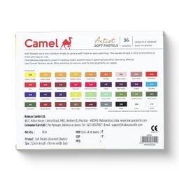 Camel Artist Soft Pastels – 36 Shades | High Pigmentation for Vibrant Art | Smooth Blending & Layering | Square Edges for Precision | Ideal for Artists & Hobbyists image 2