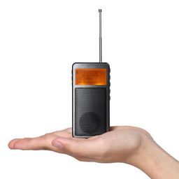 raddy RF205 Portable FM Radio, Pocket Mini Radio with BT 5.3 Connection, FM-to-BT Signal Output, MP3 Music Player Speaker Battery Operated, Type-C Charging, Alarm Clock, Grey image 1