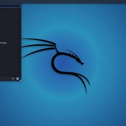 generic Kali Linux OS Ver 2024 Everything Live + Installer 64 Bit Penetration Testing Operating System 32 Gb USB image 5