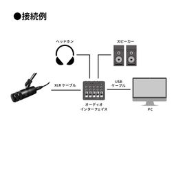 Audio-Technica AT2040 Hypercardioid Dynamic Podcast Microphone image 5