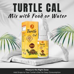 Sage Square Pet Care International Turtle Cal Drop | Supports Strong Shell & Bone Health | Provides Essential Calcium & Vitamin D3 for Growth & Strength | Helps for a Healthy & Active Turtle (30ml) image 5
