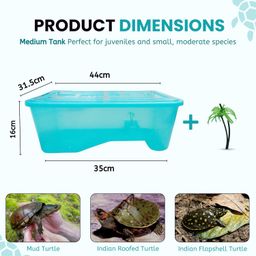 Foodie Puppies Rectangle Turtle Tank Aquarium (Medium - 1.3 FT/16 in Length) with Lid, Ramp | Basking Platform for Turtle Habitat, Reptile Breeding, Safe & Durable Escape Prevention (No Accessories) image 2