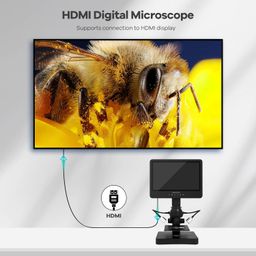 Andonstar AD249S-P 10.1 Inch HDMI Digital Microscope, 4000x 3 Lens 2160P UHD Video Record, Biological Microscope Kit for Adults and Kids, Coin Microscope for Error Coins, Prepared Slides, 32G SD Card image 4