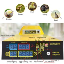 Ndeal | Egg Incubator for Hatching Eggs, Digital Mini Incubator with Automatic Turner for Hatching Chicken Duck Quail Bird Eggs(48 Eggs) image 2