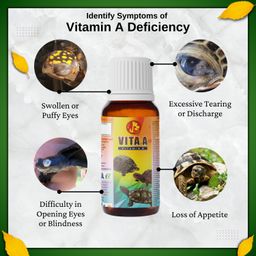 Sage Square Pet Care Vita A (30ml) | Essential Vitamin A Supplement for Turtle Eye Health, Immunity | Supports Clear Vision, Growth, Overall Well-Being | Helps Deficiencies & Nutrient Disorders (30ml) image 5