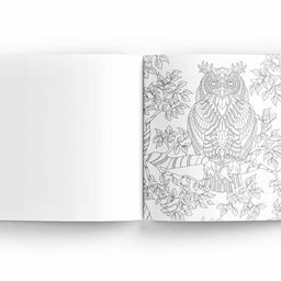 Majestic Animals: Colouring books for Adults with tear out sheets image 4