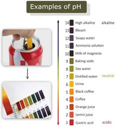 Viraaji PH Paper - Full pH 1-14, PH testing strips, Test Indicator Litmus Paper Water & Soil Testing Kit, litmus paper (Pack of 1, 80 Strips) image 4