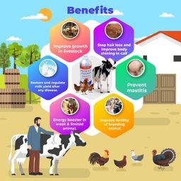 Pharma Vyytum-H Veterinary Vitamin-H for Cow, Cattle, Poultry & Livestock Animals with Vitamin-D3 & E Liquid Feed Supplement for Cattle, Cow and Farm Animals/Pack of 1 Liter image 4