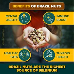 Urban Platter Brazil Nuts, 250g (Rich in Selenium | Superfood | Have 1 Daily | Product of Peru) image 5