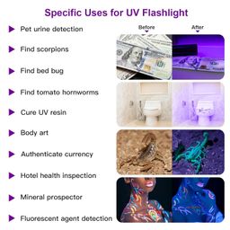 COSOOS 2 Pack UV Flashlight, 12 LED Handheld Blacklight Flashlight 395nm Mini Light Torch Detector for Dog Pet Urine Stains, Bed Bugs and Scorpions. (Batteries not Included) image 2