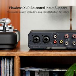 Fosi Audio ZA3 Balanced Stereo Amplifier Home Audio Component Mini 2 Channel Mono Amp TPA3255 for Subwoofer Desktop Home Theater Bookshelf Tower Floorstanding Passive Speakers with 48V Power Supply image 3