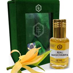 Parag Fragrances REAL NAGCHAMPA 12 ML Real & Natural Attar, Best Attar For Man and Woman, 100% Alcohol Free & Long Lasting Attar image 1