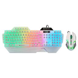 ZEBRONICS Optimus Gaming Keyboard & Mouse Combo, Braided Cable, Gold Plated USB, Upto 3600 DPI, 6 Buttons, High Resolution Sensor, Multicolor LED, Dedicated Macro Keys, 117 Keys (White) image 1