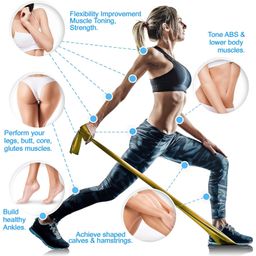 FirstFit Resistance Loop Bands | Elastic Exercise Band Set | Best Resistant Workout Loops for Booty, Glute, Leg & Thigh Exercising image 3