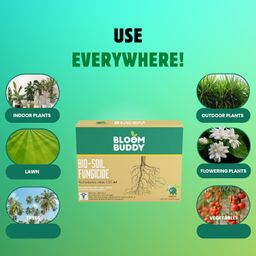Bloombuddy Trichoderma Viride Powder 800 gm (2 x 10^8 CFU per Gram) For Plants 800 gm image 4