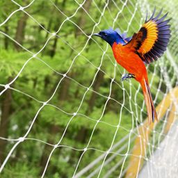 Woohome Anti-Bird Net for Balcony (10 X 4Ft) Heavy Duty UV-Stabilized HDPE Pigeon Net | Bird Protection Net with Installation Kit, Cable Clips & Tying Rope | Bird Control for Home & Garden image 2