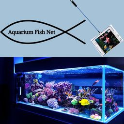 Foodie Puppies Fish Net Cleaner for Aquarium/Fish Tank - (8inch Fish Net) | Nylon Net Safe for All Aquarium Fish, White Net with Blue Handle Quick Catch Mesh Aquarium Fish Net image 2