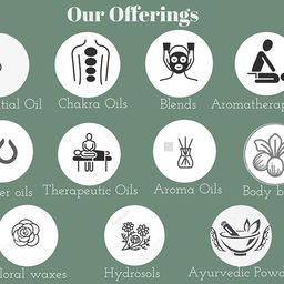 Deve Herbes Pure Rosehip Seed Oil (Rosa rubiginosa) Natural Therapeutic Grade Cold Pressed 15ml image 4