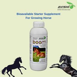 Avishi Boom for Growing Horses, (1 Litre) Bioavailable Starter Supplement for Better Muscle, Bone and Teeth Development, Helps to Build Immunity and Combat Stress image 3