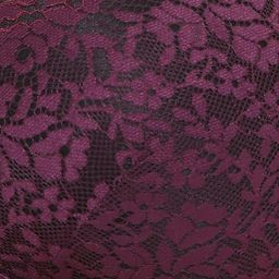 clovia Women's Net Lightly Padded Wire Free Full Cup Coverage Bra image 5