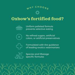 Oxbow Animal Health Bunny Basics Young Rabbit Fortified Small Animal Feeds, 5-Pound image 3